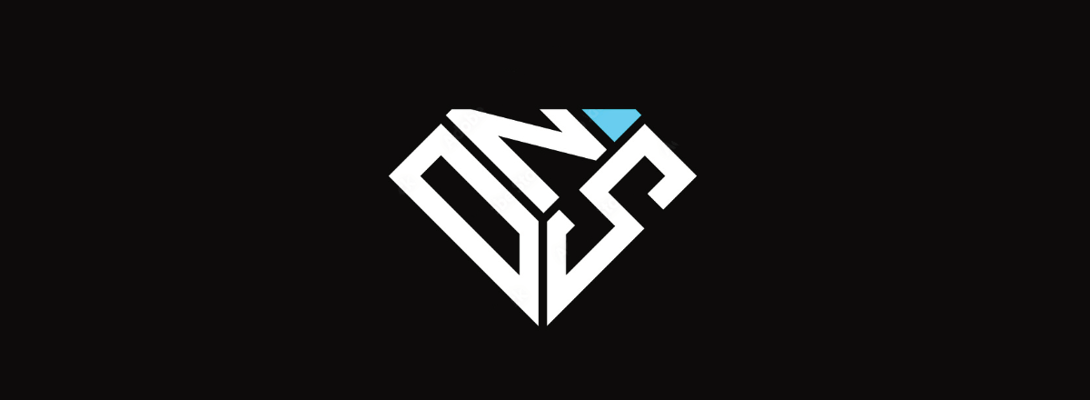 DNS router